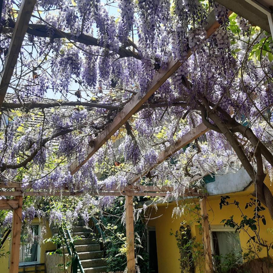 Studio In Altstadthaus زانكت فايت أن دير غلان المظهر الخارجي الصورة